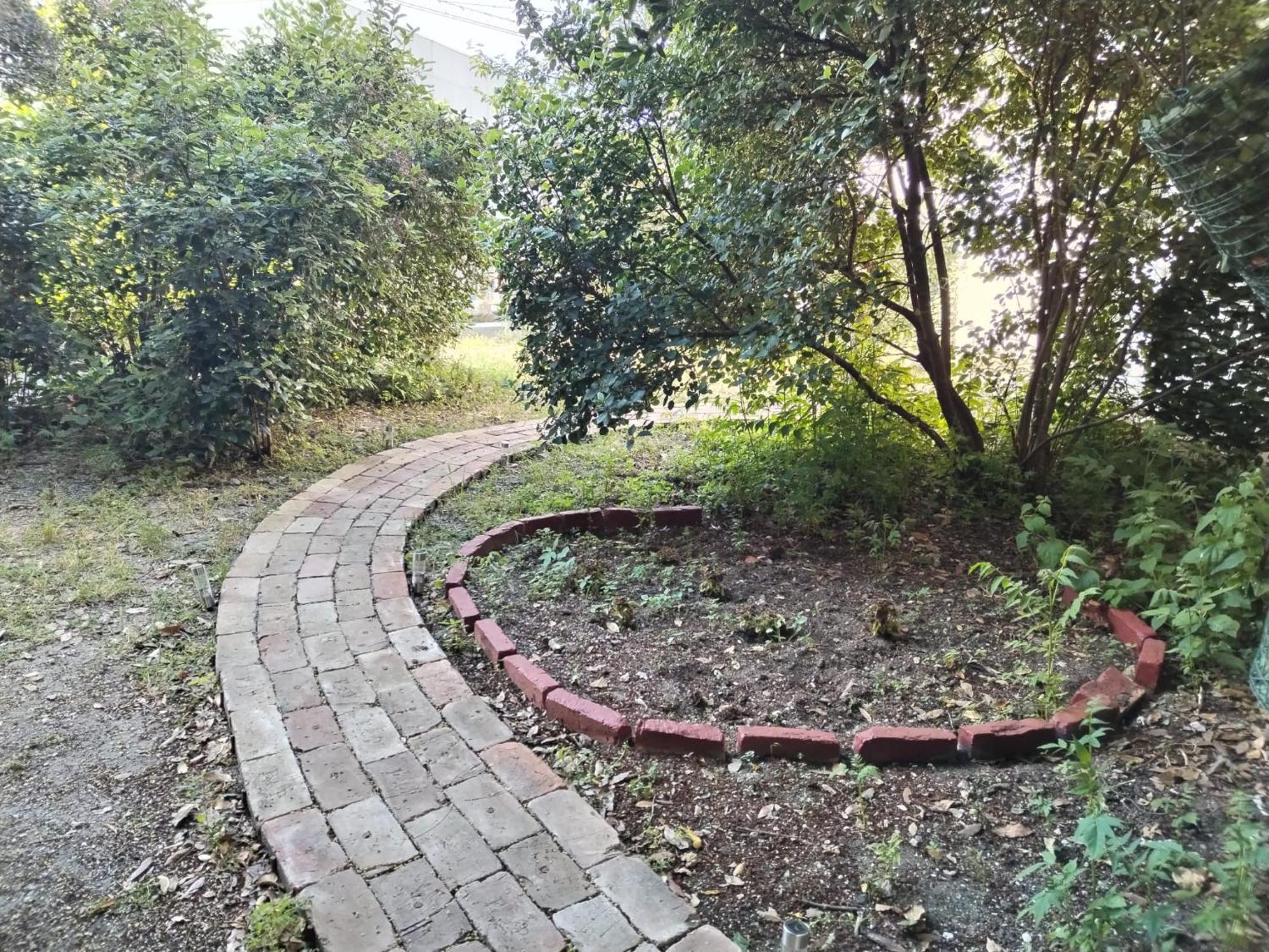 Garden In The Center Lejlighed Split Eksteriør billede